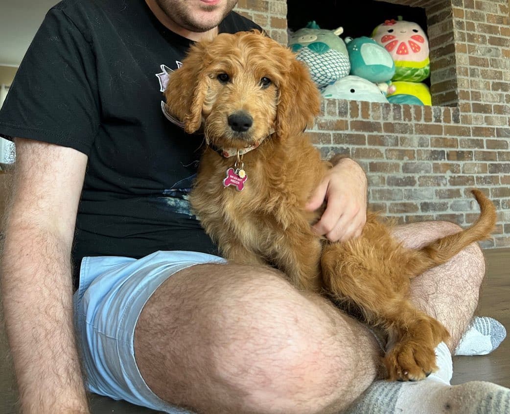 483669118 1049190433895591 4229045896620774589 N.jpg