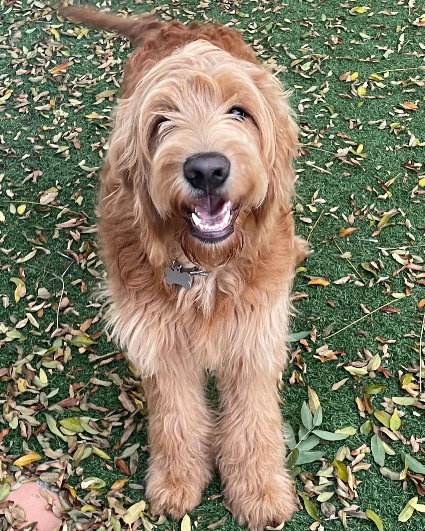 468404357 18028278434582818 2578491352714854188 N.jpg